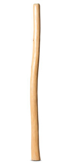 Medium Size Natural Finish Didgeridoo (TW1537)
